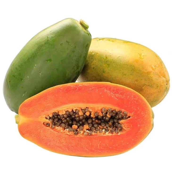 Bulk Freeze Dried Papaya factory