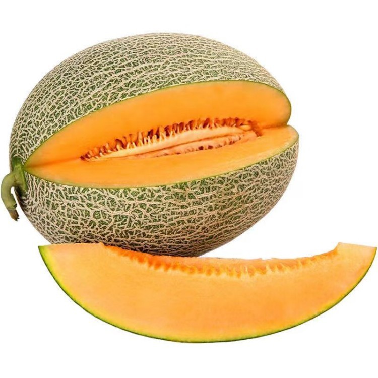 frozen-hami-melon-slices